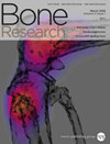 Bone Research雜志封面